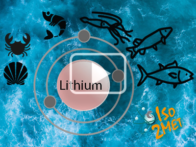 L’impact du lithium sur les organismes marins : une approche isotopique